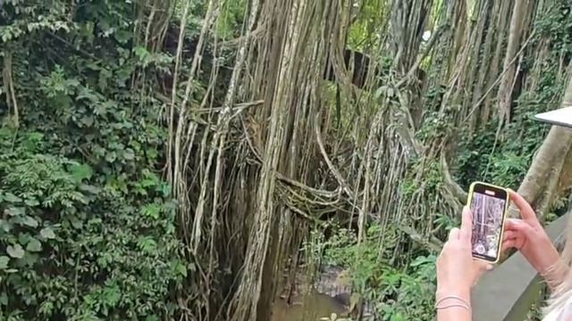 25.31 😱 ПАРК ОБЕЗЬЯН 👉 ГОРОД УБУД - ПАРК ЛЕС ОБЕЗЬЯН 🙈🙉🙊 ☀️ ИНДОНЕЗИЯ ОСТРОВ БАЛИ ❗ смотреть онлайн