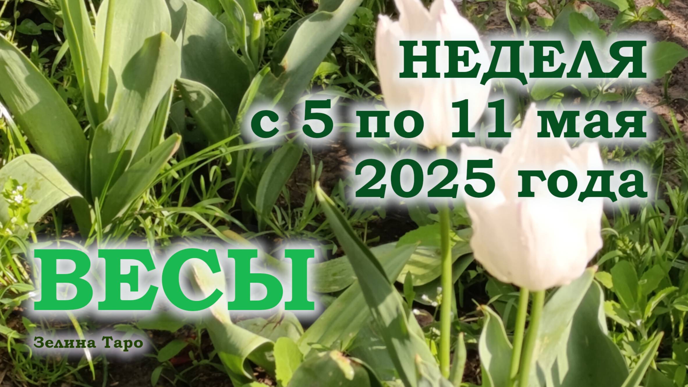 ВЕСЫ | ТАРО прогноз на неделю с 5 по 11 мая 2025 года