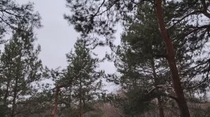 Почему сложно уйти даже с плохой работы?