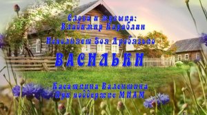 Васильки Караблин Владимир