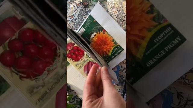 джанбук смотреть онлайн