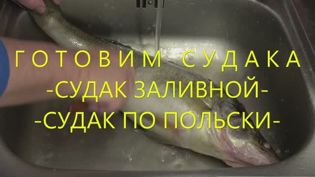 Готовим судака смотреть онлайн