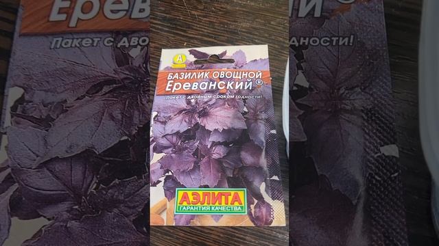 СЕЕМ БАЗИЛИК ПРОСТО! смотреть онлайн