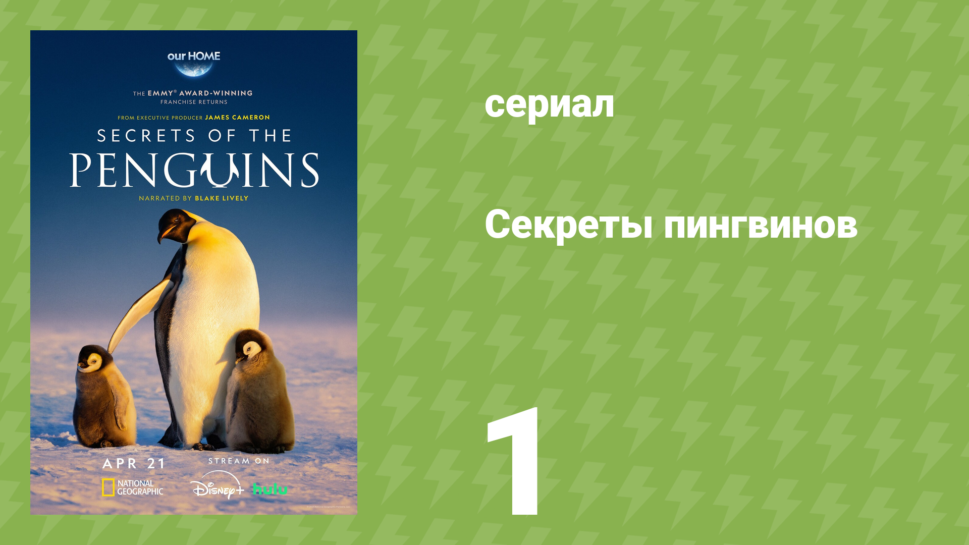 Секреты пингвинов 1 серия «Сердце императоров» (документальный сериал, 2025) смотреть онлайн