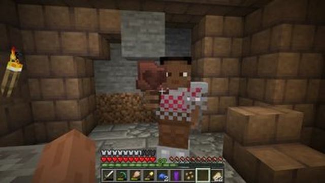 Обзор Мода Care to Share для Minecraft 1.21.5 смотреть онлайн