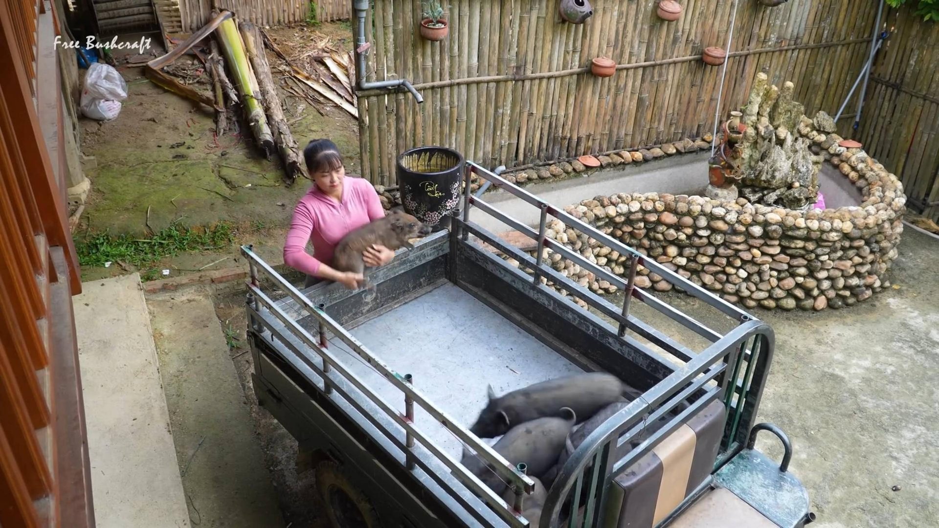 Ферма Бушкрафт в Пханге,поросята смотреть онлайн