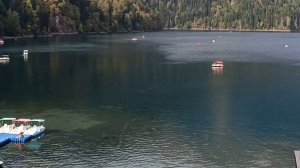 АБХАЗИЯ. ОЗЕРО РИЦА. ВОСТОРГУ НЕТ ПРЕДЕЛА