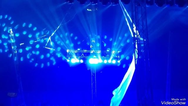 Смотрим цирковое представление "Полосатый рейс" в цирке " Виват" 3 мая 2025 в Калининграде смотреть онлайн