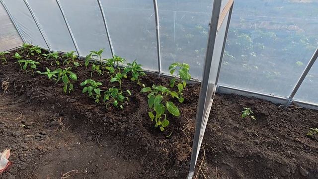 Сама боюсь, но делаю смотреть онлайн