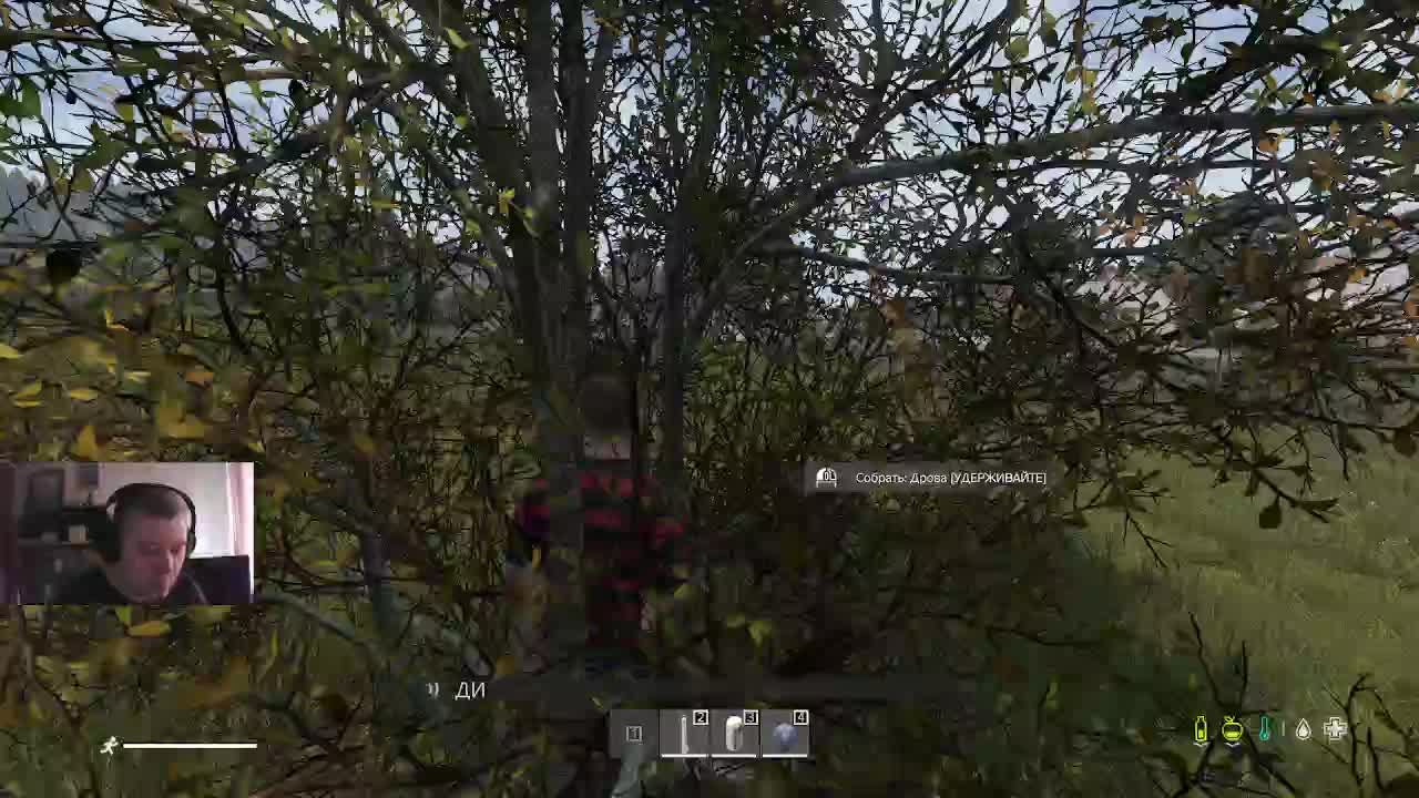 DAYZ