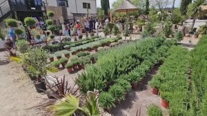 День Открытых Дверей 2025 во французском питомнике растений.Что и за сколько продают? Большой ОБЗОР!