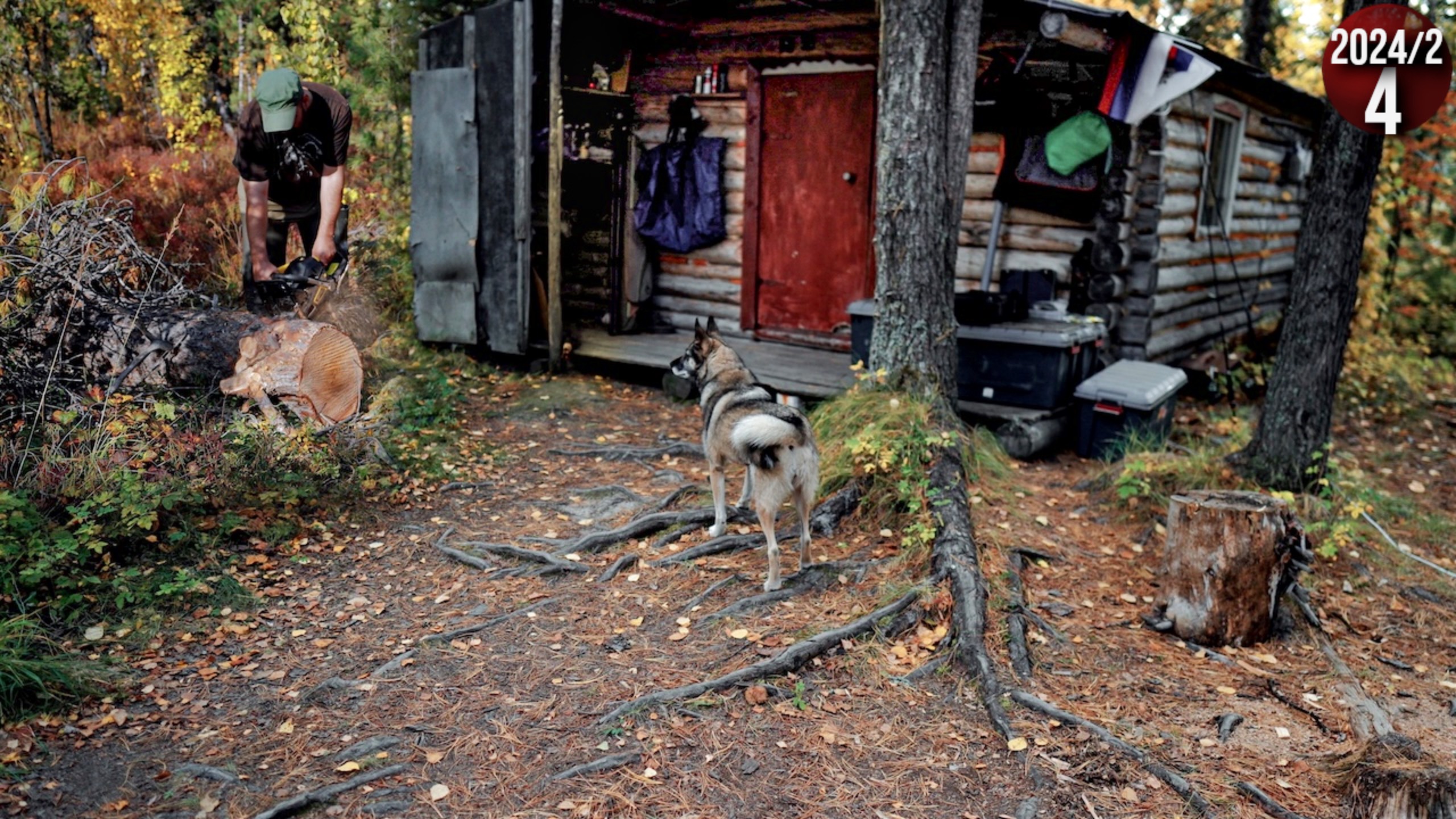 Обычные будни семьи живущей в тайге Приполярного Урала. Заготовка дров. Банный день. Гости. 4с