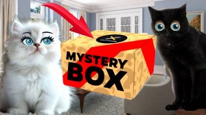 МИСТЕРИ БОКС! Что внутри? Или это ПОДАРОК от Подписчицы???