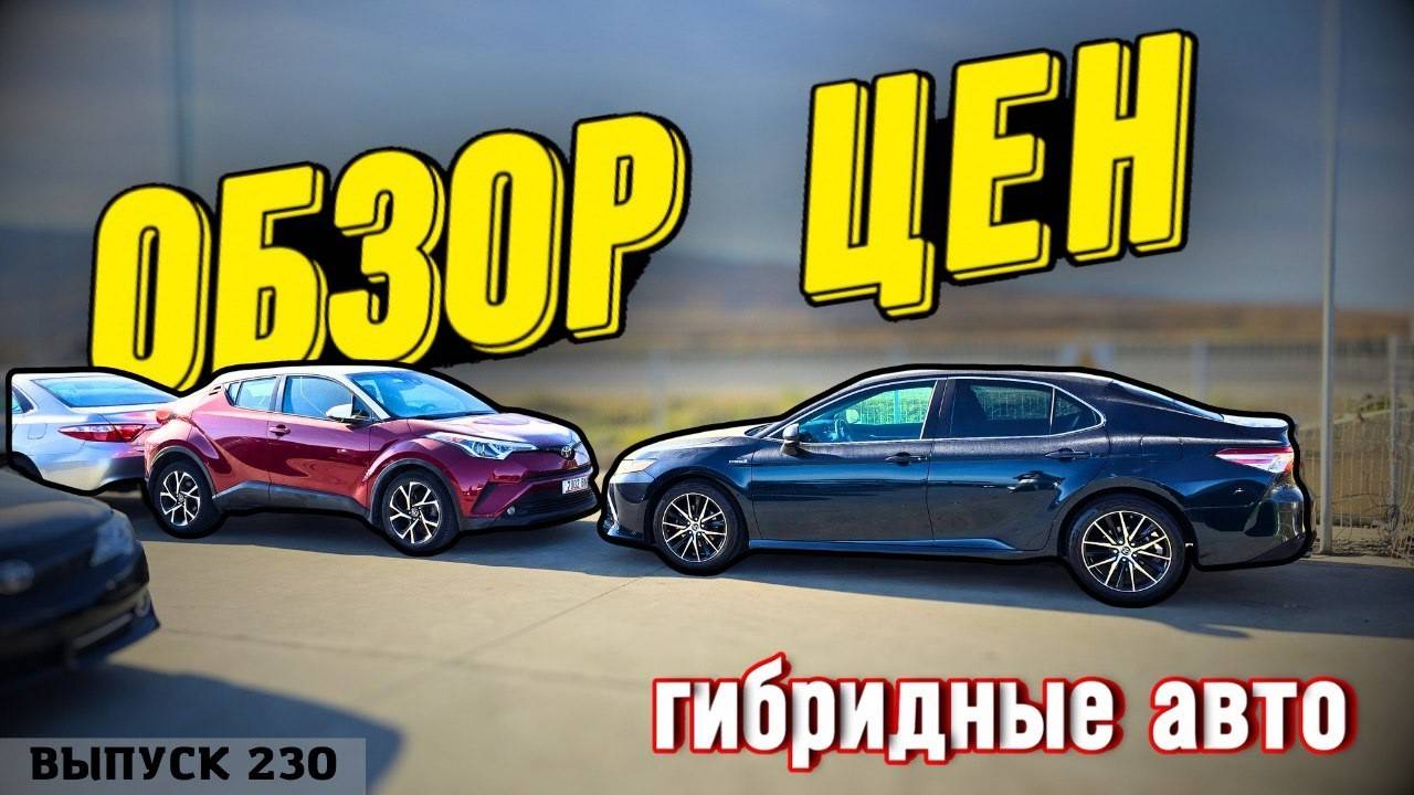 Обзор цен на ГИБРИДНЫЕ авто из Грузии под ключ! Авто из США. Аукционы. Мастер Вадя. смотреть онлайн