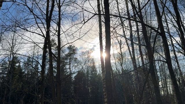 Минута № 66. Смотри и отдыхай.