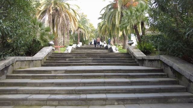 Walking in Sochi | Дендрарий в Большом Сочи в конце зимы |4K| (February 21, 2024) смотреть онлайн