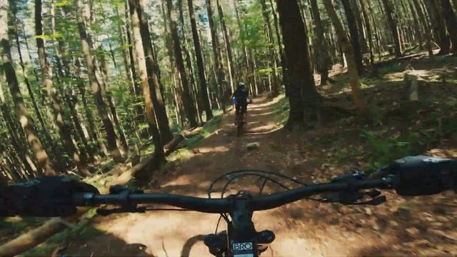 Гора синяк. Спуск через г. Хом'як в урочище Женець. Горгани