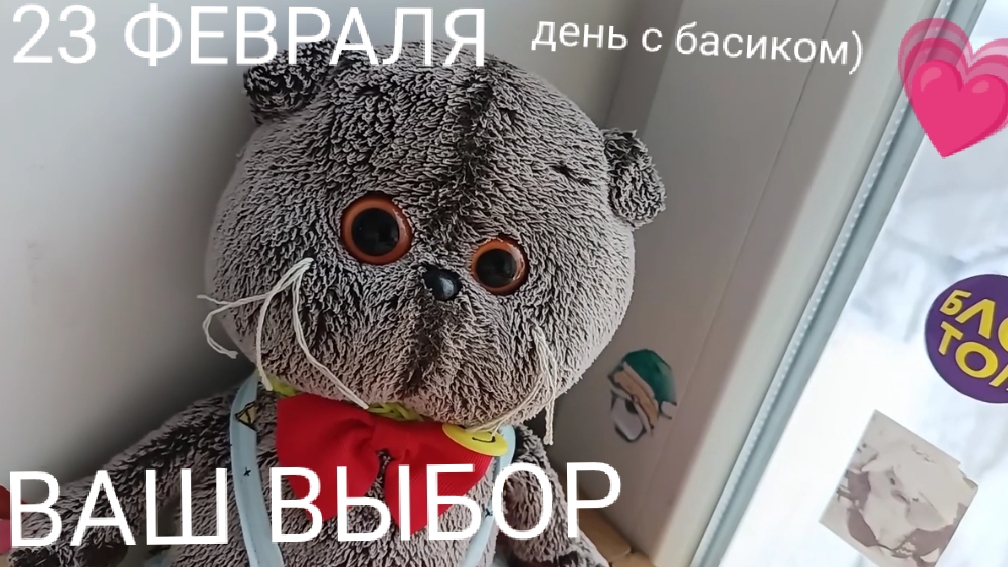 день с Басиком 23 февраля 💗🎄