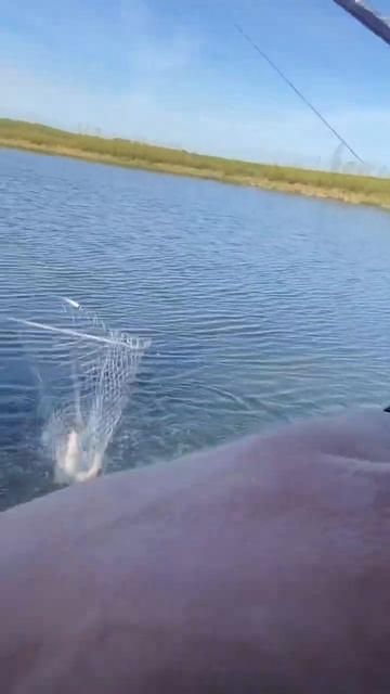 Приехал за сазаном ,а ПОЙМАЛ… #рыбалка #fishing #nature #красотыприроды #рыба #лето #вечер смотреть онлайн