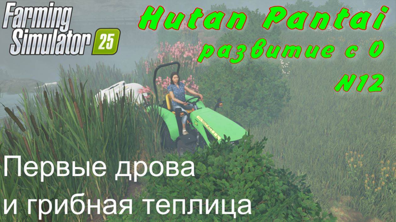 Farming Simulator 25. Hutan Pantai. Развитие с 0. 12 часть. Первые дрова и грибная теплица. смотреть онлайн