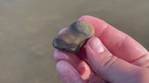 Поиск камней. Кружевной агат и много других находок майских праздников