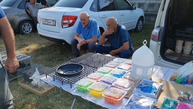 Голуби Птичий рынок г Беслан смотреть онлайн