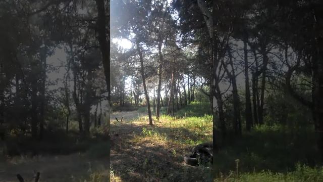 Воскреска 03.07.2016 смотреть онлайн