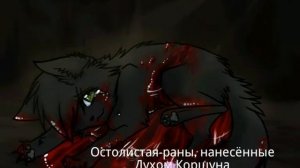 Смерти котов воителей •~{#1}~•