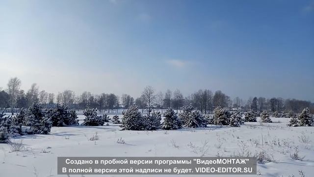эх снег снежок 27.01.2019