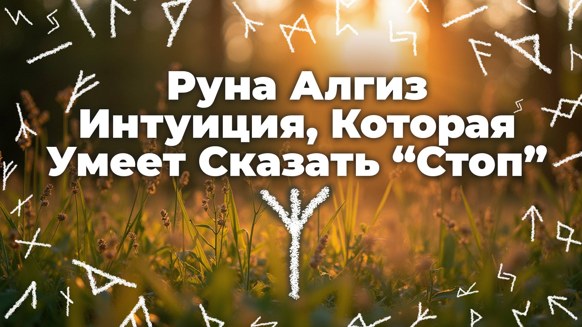 Руна Алгиз — Интуиция, Которая Умеет Сказать “Стоп”