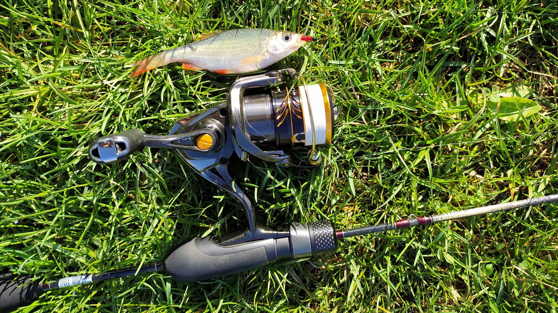 МОРМЫШИНГ. Домашний водоем, утром 4 мая 2025 года