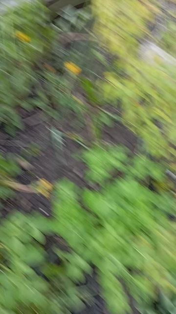 красавчик смотреть онлайн