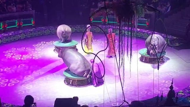 Annat цирк смотреть онлайн