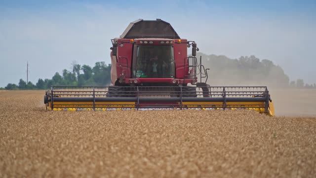 Комбайн Case IH / трактора, техника, комбайны Case IH