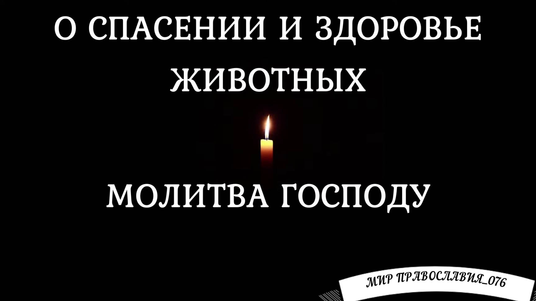 Молитва Господу о спасении и здоровье животных смотреть онлайн