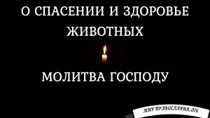 Молитва Господу о спасении и здоровье животных