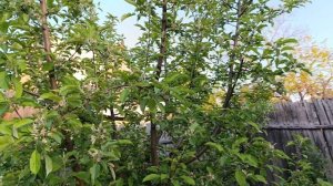 Продолжаю тему по системе «Клик». Делюсь дальнейшим результатом.