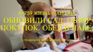 Обновили сад. Обзор покупок из Tesco. Обед в пабе и наши чихуахуа. № 759 Жизнь в Англии