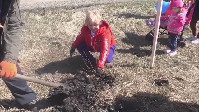 К 80-летию Победы в ВОВ посадка дубовой аллеи и концерт на ст.Вагино Красноярской железной дороги. смотреть онлайн