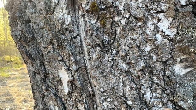 Минута № 63. Смотри и отдыхай.