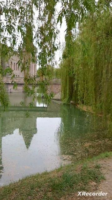 XRecorder_Edited_30042023_153315.mp4