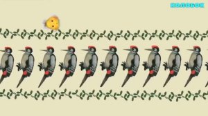 Колобок Новый Русский  Мультфильм - 2019 / 😊😊🌱