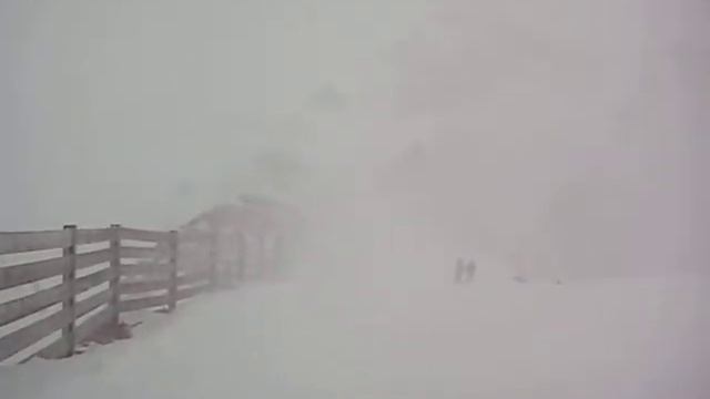 Изображение 213 смотреть онлайн