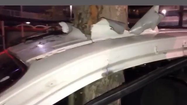 Чеченцы раскрыли Фейк про дерево в Машине во Франции!! смотреть онлайн