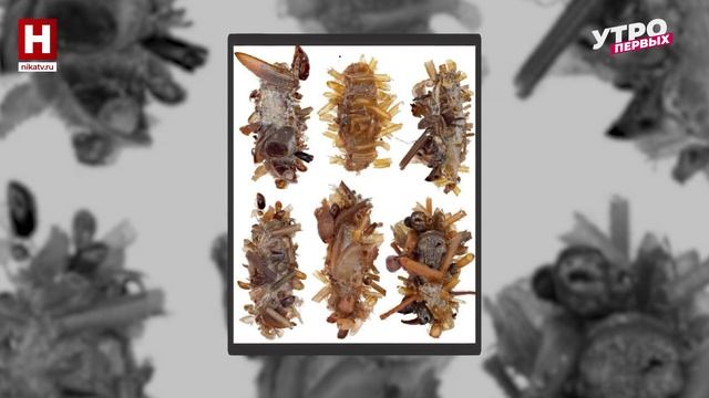 Новости мира науки | ПРО НАУКУ