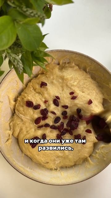 Секреты приготовления дрожжевого теста👇🏼 #кондитер #рецепты #рецепт #тесто #дрожжевоетесто #дрожжи