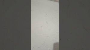 наливной пол треснул что делать?