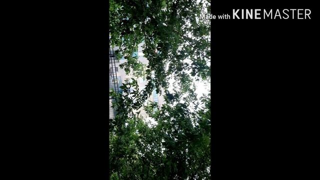 Мехрубоне дорам номаш модар аст😰🙏 смотреть онлайн