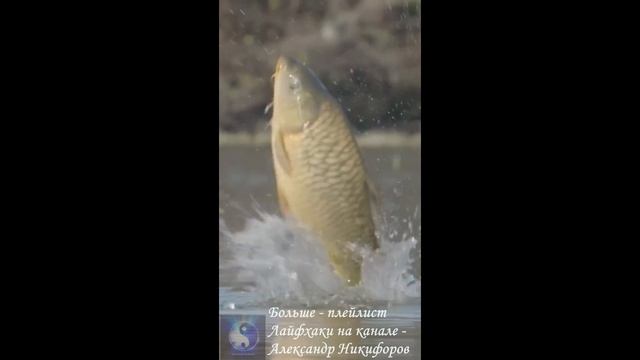 Рыбалка. Красота смотреть онлайн