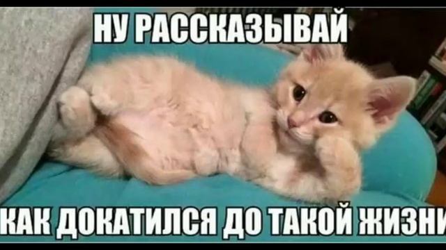Смешные картинки смотреть онлайн